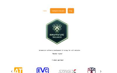 Website preview for Rimappature Tricarico