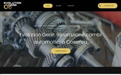 Top of the website for Evolution Gear Srls Automatic Manual
