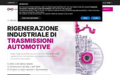 Top of the website for Tecnotrasmissioni Srl