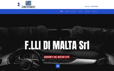Website preview for FDM Cambi Automatici