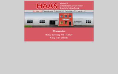 Website preview for Günther Haas KG