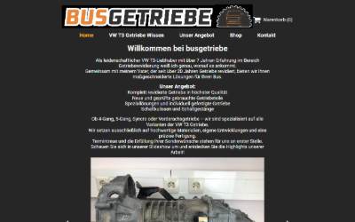 Top of the website for busgetriebe | Dzenan Imamovic Dino
