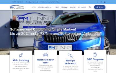 Website preview for PM-Tuning