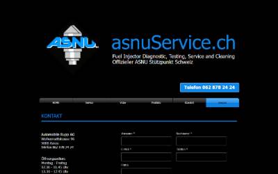 Website preview for Einspritzdüsen Service Einspritzventil Service | Aargau - Schweiz