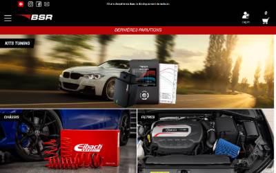 Website preview for BSR Switzerland