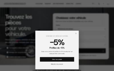 Top of the website for Swiss Race Customs