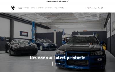 Top of the website for Angelonero Performance