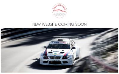 Website preview for Enfield Customs