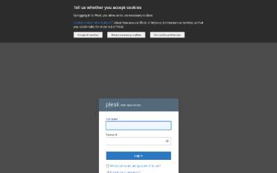 Website preview for Essex Performance