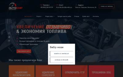 Website preview for AutoChip