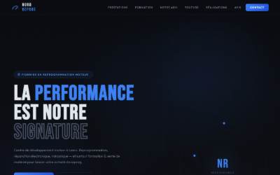 Website preview for NordReprog