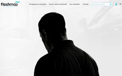 Website preview for FlashMap