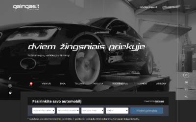 Website preview for Galingas LT