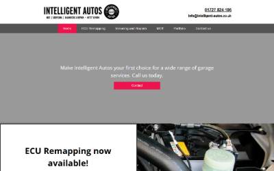 Website preview for Intelligent Autos Ltd