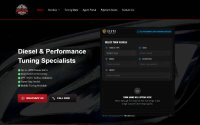 Website preview for Precision Tuning