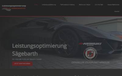 Website preview for Leistungsoptimierung Sägebarth