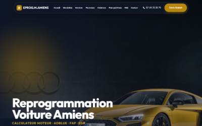 Website preview for Reprog.M.Amiens