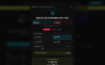 Website preview for Select Reprog Amiens