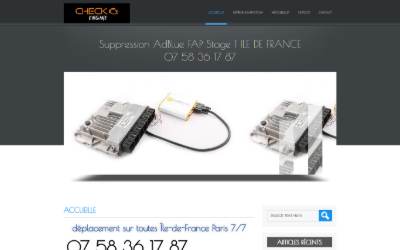 Website preview for reprogrammation calculateur moteur suppression Adblue FAP stage 1 conversion éthanol E85 diagnostic île de France