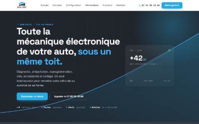 Website preview for Dina Perf Diagnostic Auto Clé Auto Suppression AdBlue EGR FAP Filtre à Particules Stage 1 E85 Ethanol
