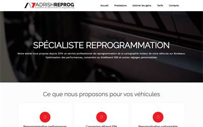 Website preview for Adrish Reprog