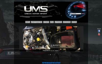 Website preview for Reprog UMS