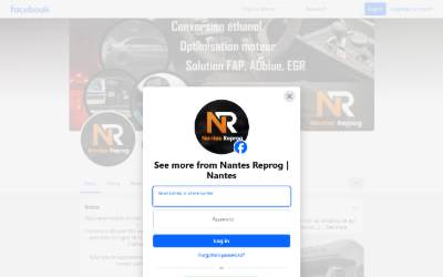 Website preview for Nantes Reprog