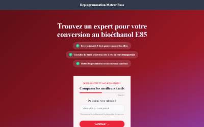 Website preview for Reprogrammation moteur Paca