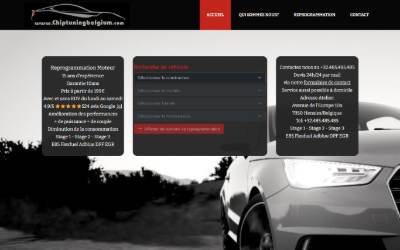Website preview for chiptuningbelgium