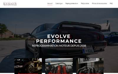 Website preview for Evolve Performance