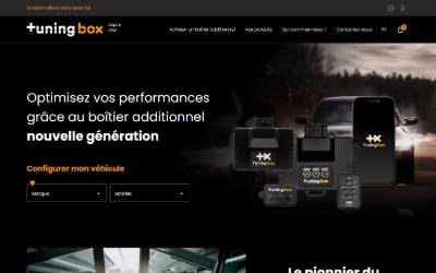 Website preview for Boitier Additionnel TuningBox