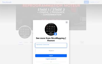 Website preview for NicoMapping Reprogrammation Moteur