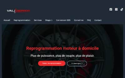 Website preview for Val Reprog