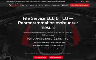 Website preview for MGREPROG