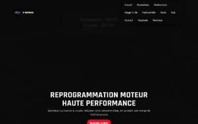Website preview for V REPROG PERF