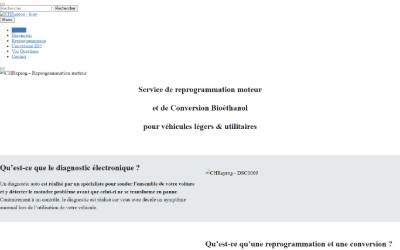 Website preview for CHReprog Lille