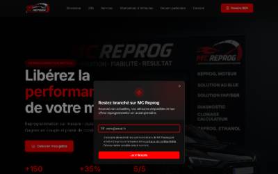 Website preview for MC REPROG