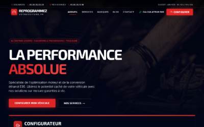 Website preview for CAD - REPROGRAMMATION ETHANOL (E85) / FAP / EGR / ADBLUE / AGRICULTURE / POIDS LOURDS - REPROGRAMMEZVOTREVOITURE.FR