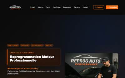 Website preview for REPROG AUTO Reprogrammation Moteur
