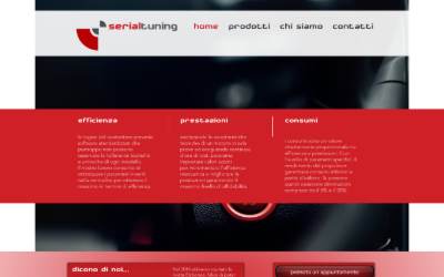 Website preview for Serialtuning (Tuning Ecu)
