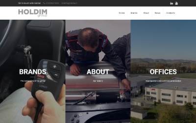 Website preview for Holdim Spa