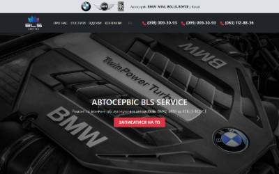 Website preview for BLS Service Kyiv