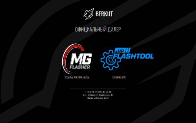 Website preview for Berkut BMW
