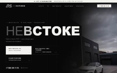 Website preview for NEVSTOKE