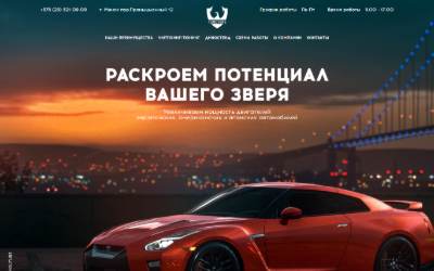 Website preview for TSMOTORS