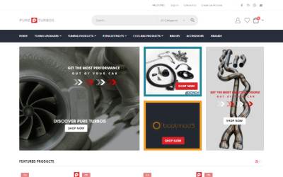 Website preview for PureTurbos.eu