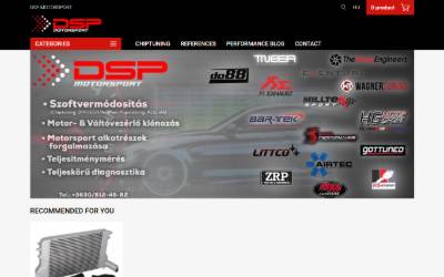Website preview for DS Performance Chip