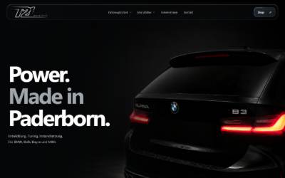 Website preview for T21-Industries GmbH