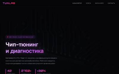 Website preview for TunLab