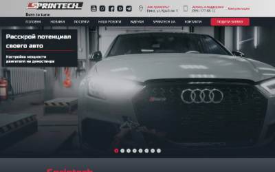 Website preview for Ivan Natanych service